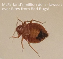McFarland claims she was attacked by bed bugs at the motel